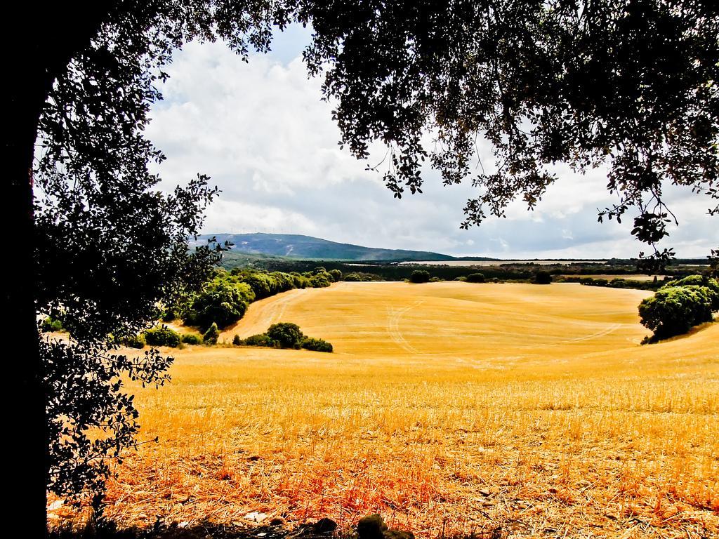 Uterga Hostal Camino Del Perdon المظهر الخارجي الصورة